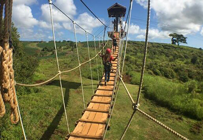 Zippin Volcano Hilo Hawaii Coupons