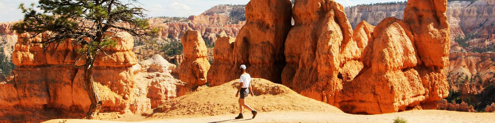 Adventure Photo Bryce and Zion Tours Coupons