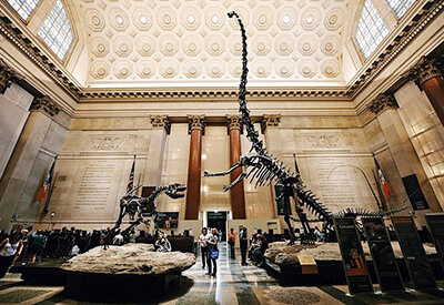 American Museum of Natural History New York Coupons