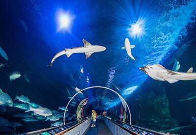 Aquarium of the Bay San Francisco Coupons