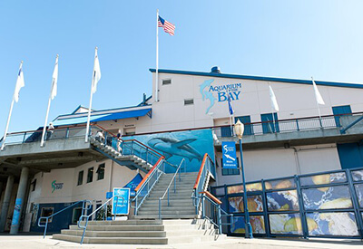 Aquarium of the Bay San Francisco Coupons