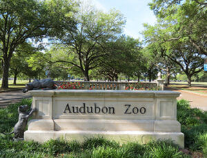 Audubon Zoo Trusted Tours