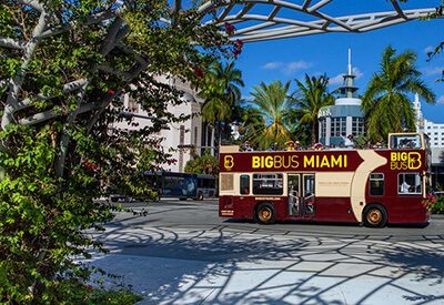 Big Bus Miami Stops Coupons