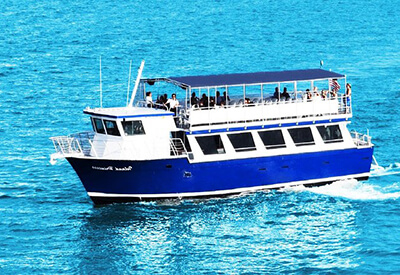 Biscayne Bay Sightseeing Cruise Coupons