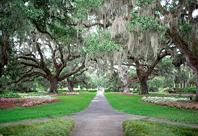 Brookgreen Gardens Coupons