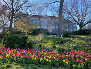 Cheekwood Estate and Gardens Coupons