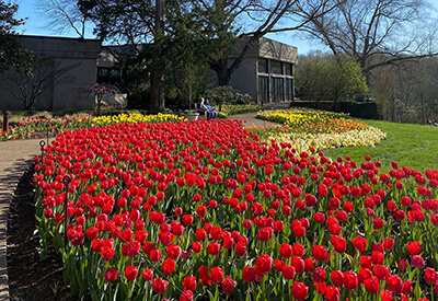 Cheekwood Estate and Gardens Coupons