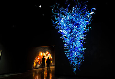 Chihuly Collection Tampa Coupons