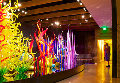 Chihuly Collection Tampa Coupons