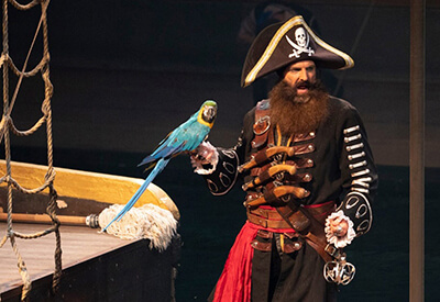 Christmas Pirates Voyage Dinner Show Myrtle Beach Coupons