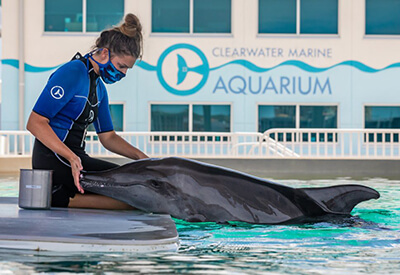 clearwater aquarium coupons