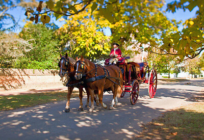 Colonial Williamsburg Coupons