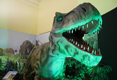 Dinosaurs Exhibition Myrtle Beach Coupons