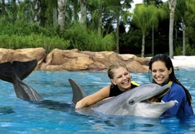 Dolphin Discovery Florida Keys Coupons