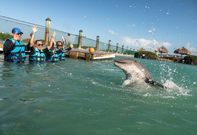 Dolphin Discovery Florida Keys Coupons