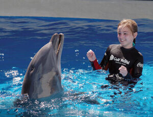 Dolphin Discovery Panama City Beach Coupons