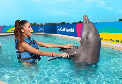 Dolphin Discovery Panama City Beach Coupons