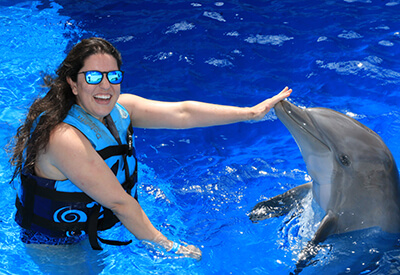 Dolphin Discovery Panama City Beach Coupons