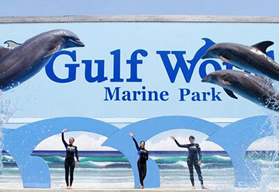 Dolphin Discovery Panama City Beach General Admission Coupons