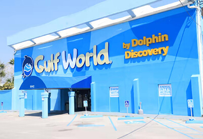 Dolphin Discovery Panama City Beach General Admission Coupons