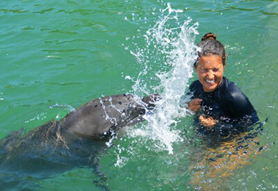 Dolphin Discovery Program Florida Keys Coupons