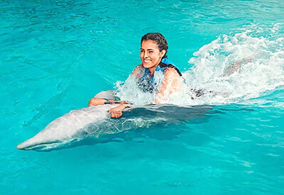 Dolphin Discovery St Augustine Coupons