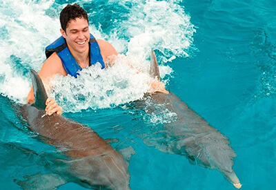 Dolphin Discovery St Augustine Coupons