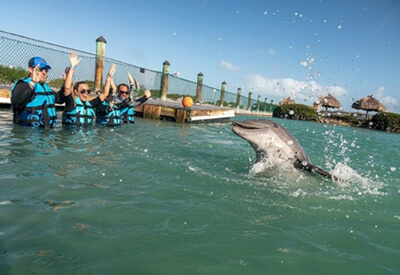 Dolphin Encounter Florida Keys Coupons