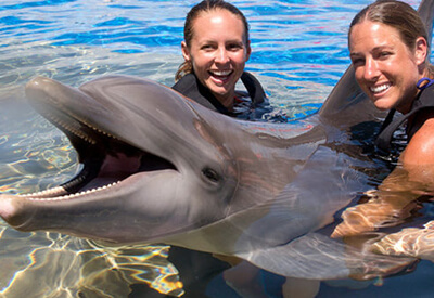 Dolphin Encounter St. Augustine Coupons