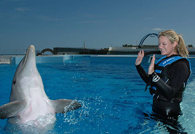Dolphin Encounter St. Augustine Coupons