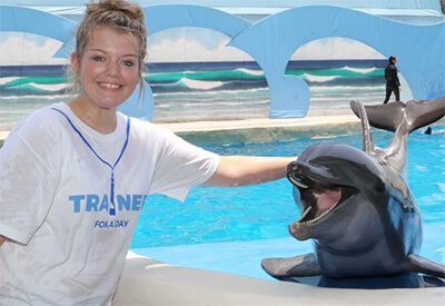 Dolphin Meet N Greet Panama City Beach Coupons