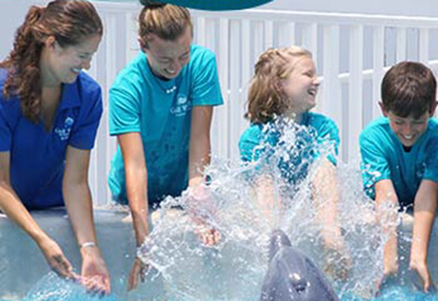 Dolphin Meet N Greet Panama City Beach Coupons