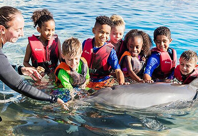 Dolphin Meet and Greet St Augustine Coupons