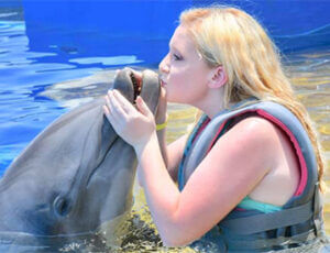 Dolphin Meet and Greet St. Augustine Coupons