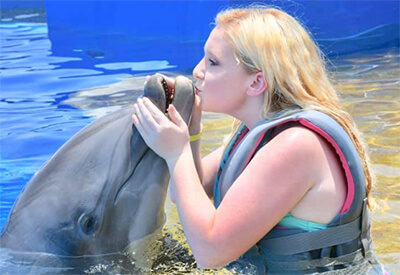 Dolphin Meet and Greet St Augustine Coupons