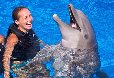 Dolphin Meet and Greet St Augustine Coupons