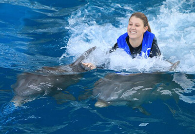 Dolphin Royal Swim Panama City Coupons