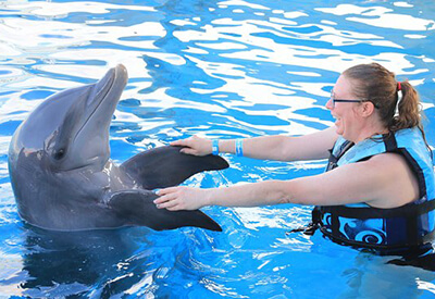 Dolphin Royal Swim Panama City Coupons