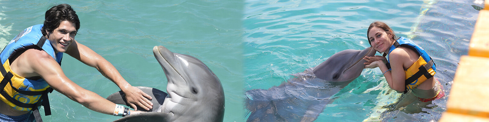 Dolphin Swim Adventure Panama City Beach Coupons