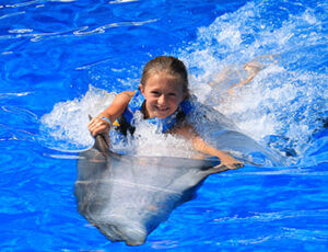 Dolphin Swim Adventure St Augustine Coupons