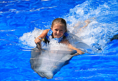 Dolphin Swim Adventure St Augustine Coupons