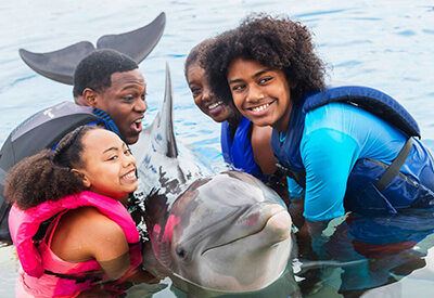 Dolphin Swim Adventure St Augustine Coupons