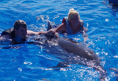 Dolphin Swim Adventure St Augustine Coupons