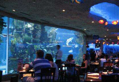 Downtown Aquarium Houston Coupons