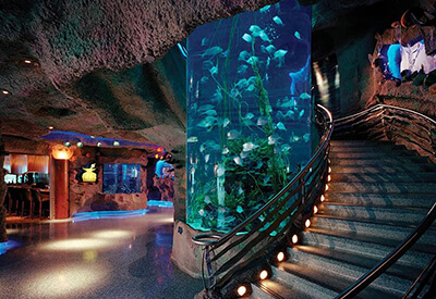 Downtown Aquarium Houston Coupons