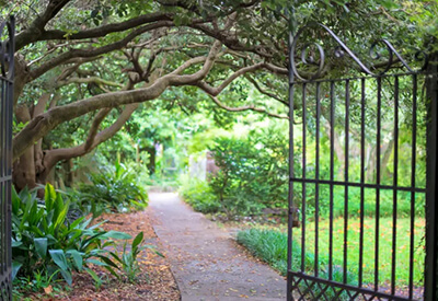 Top 10 Things to Do In Charleston