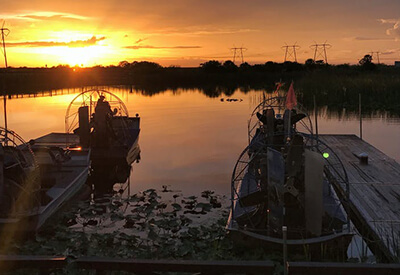 Gator Nights Tour at Sawgrass Coupons