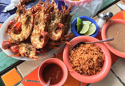 Grand Baja Lobster Tour Coupons