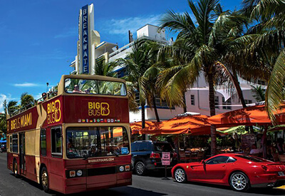 Hop On Hop Off Miami Coupons