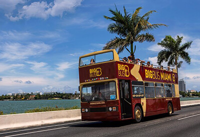 Hop On Hop Off Miami Coupons